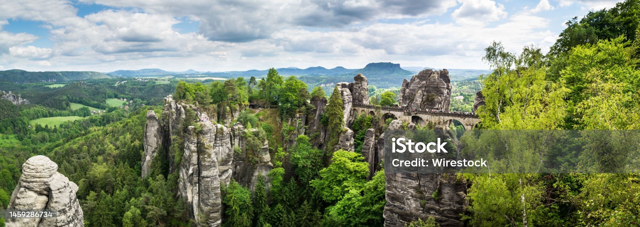 자가계 장엄한 모습