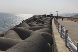 부산 차박하기 좋은 성지 TOP 5곳