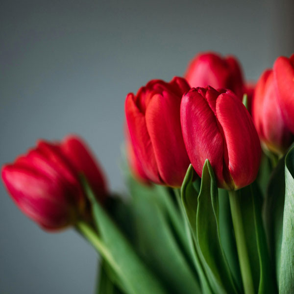 저온화상 증상, 치료 총정리