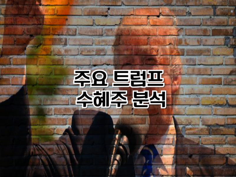 주요 트럼프 수혜주 분석