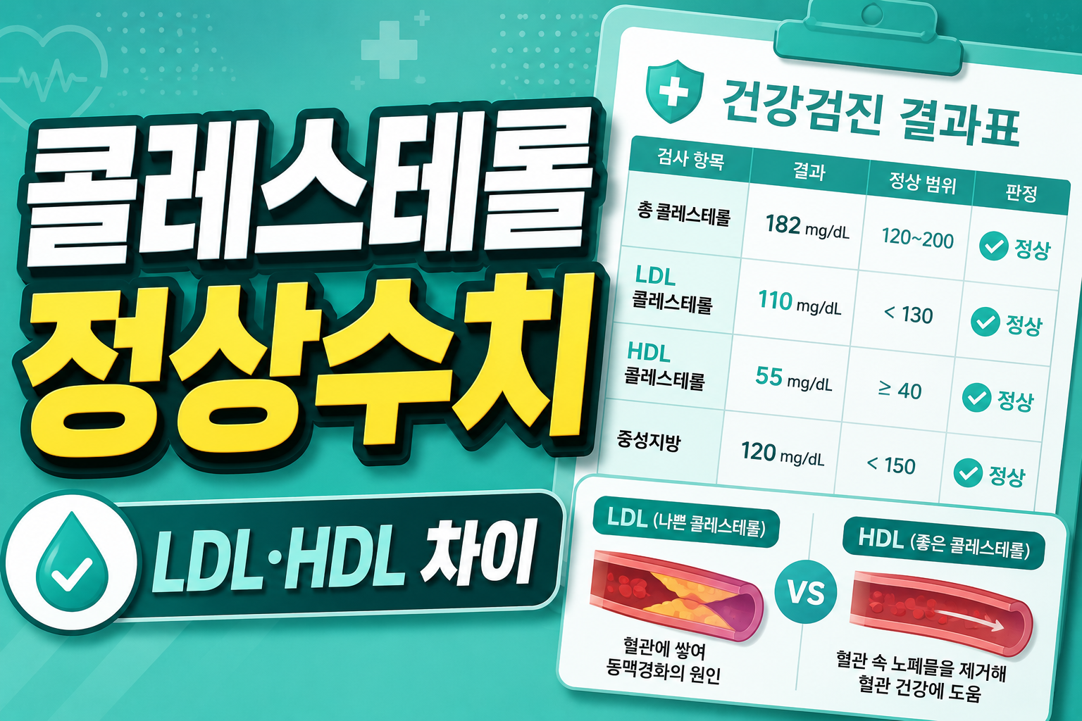 콜레스테롤 정상수치 얼마일까?｜LDL&middot;HDL 쉽게 정리 2026