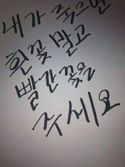 장난스럽게-내가-죽으면-흰-꽃-말고-빨간-꽃을-주세요-라고-앙증맞게-적혀있는-유언장