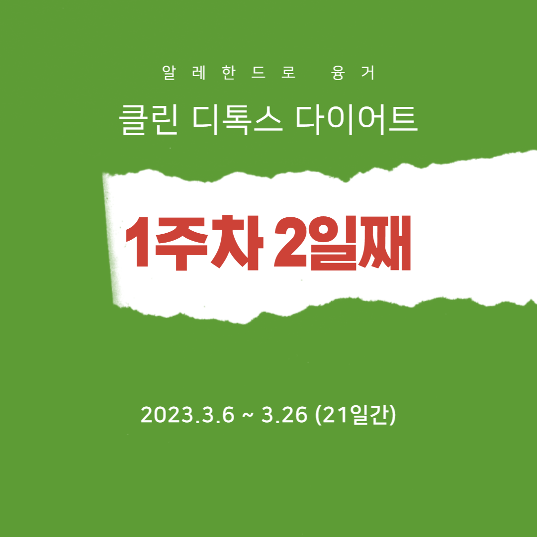 디톡스 다이어트