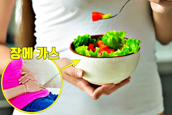 다이어트 식이섬유, 조금만 먹어도 배가 불러요,배가 빵빵한 이유, 조금 먹어도 배부른 증상,건강 팁줌 매일꿀정보