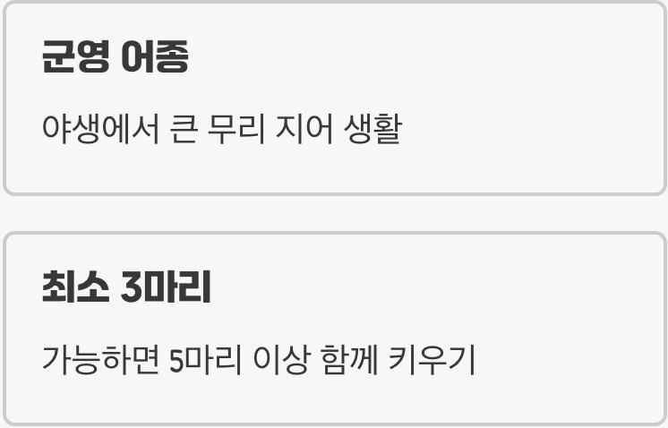 혼자는 외로워요, 함께 헤엄칠 친구들