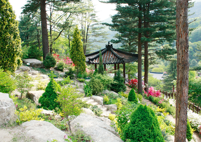 가평 가볼만한 곳