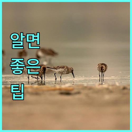 리프팅 후 화장, 성분부터 도구까지!