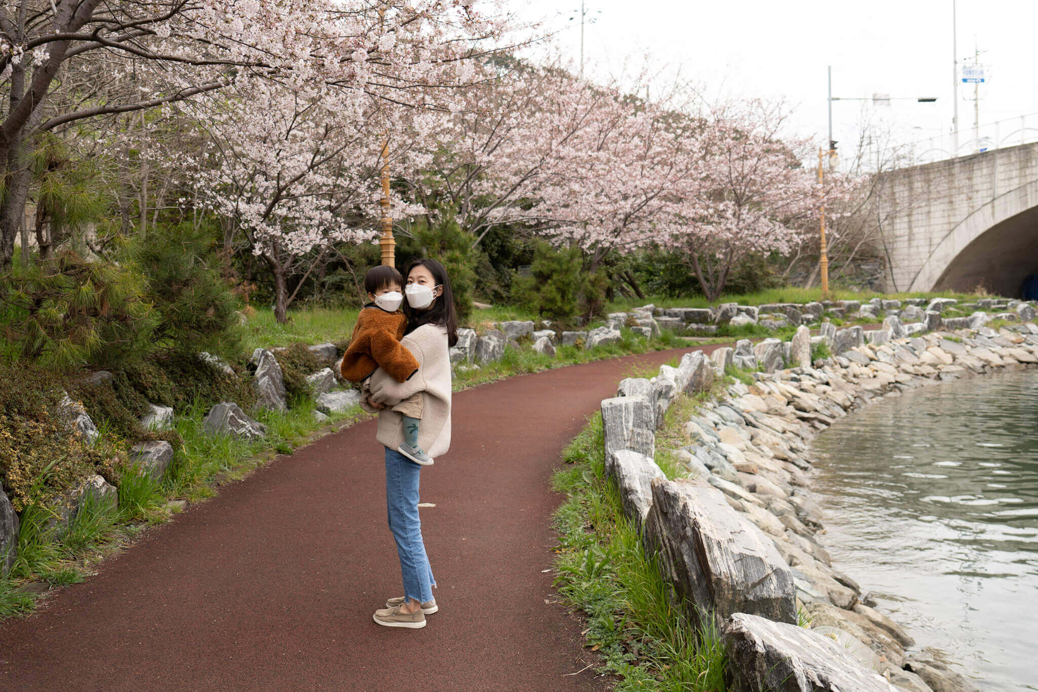 2024벚꽃축제일정 벚꽃개화시기