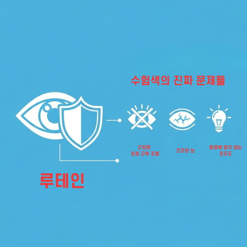 수험생 눈 영양제