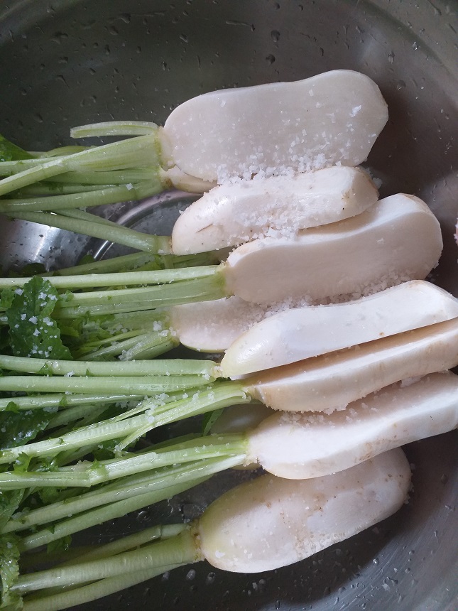 여름알타리김치