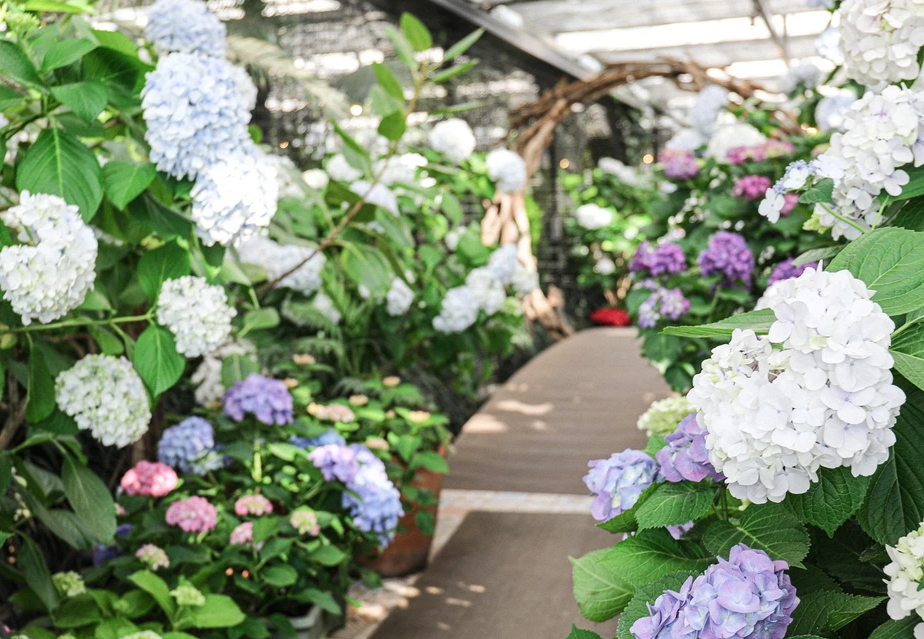 6월 여행하기 좋은 곳 9선 여름의 매력을 만끽하세요!