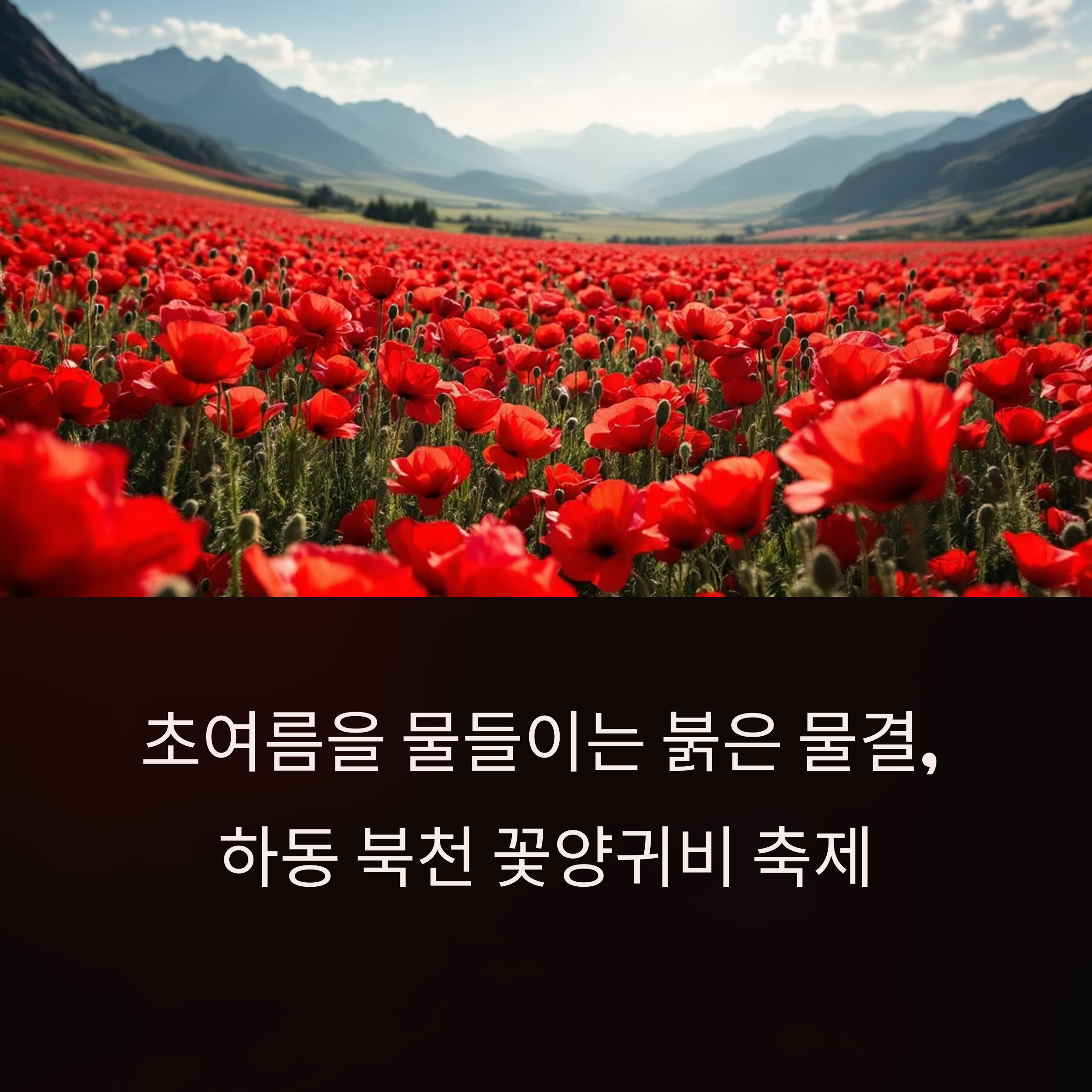 하동 북천 꽃양귀비 축제 안내