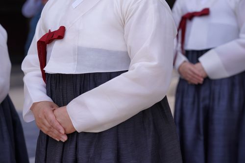 송편 칼로리 하루 섭취량, 몇 개부터 살찔까? 영양성분까지 정리