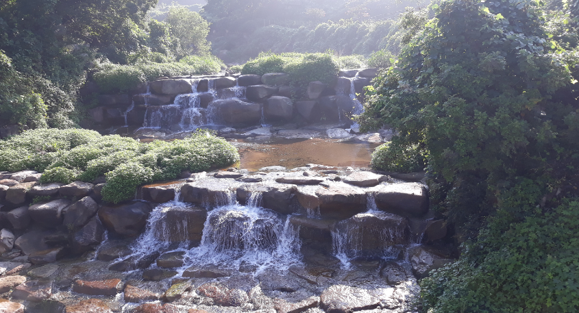 화명수목원