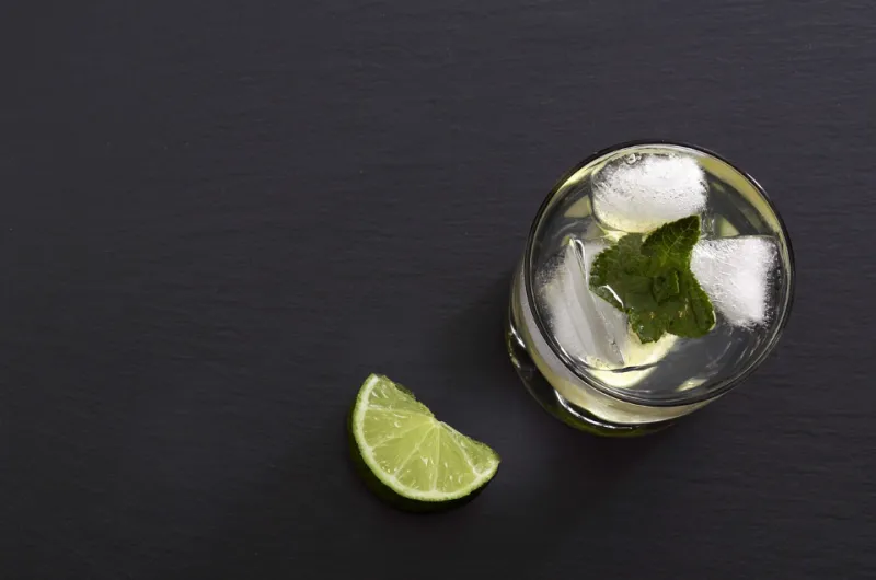 물에 라임 넣어 건강 효능 - 3