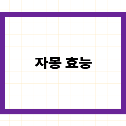 자몽 효능과 부작용 —
나린진·리코펜의 과학적 근거와
약물 상호작용 주의사항 완벽 정리