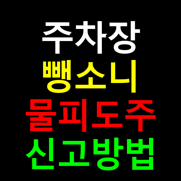 주차장 뺑소니 물피도주