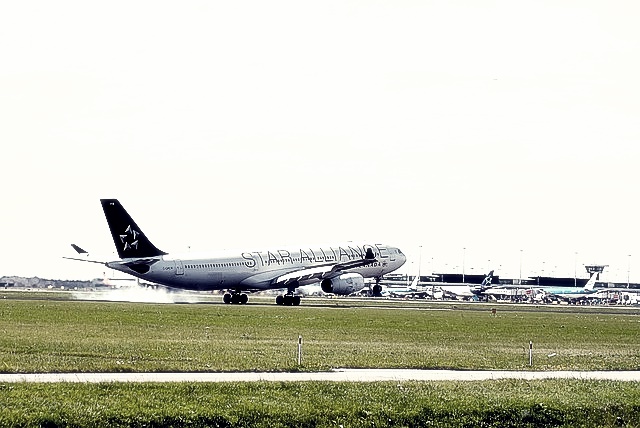 스타얼라이언스 마일리지