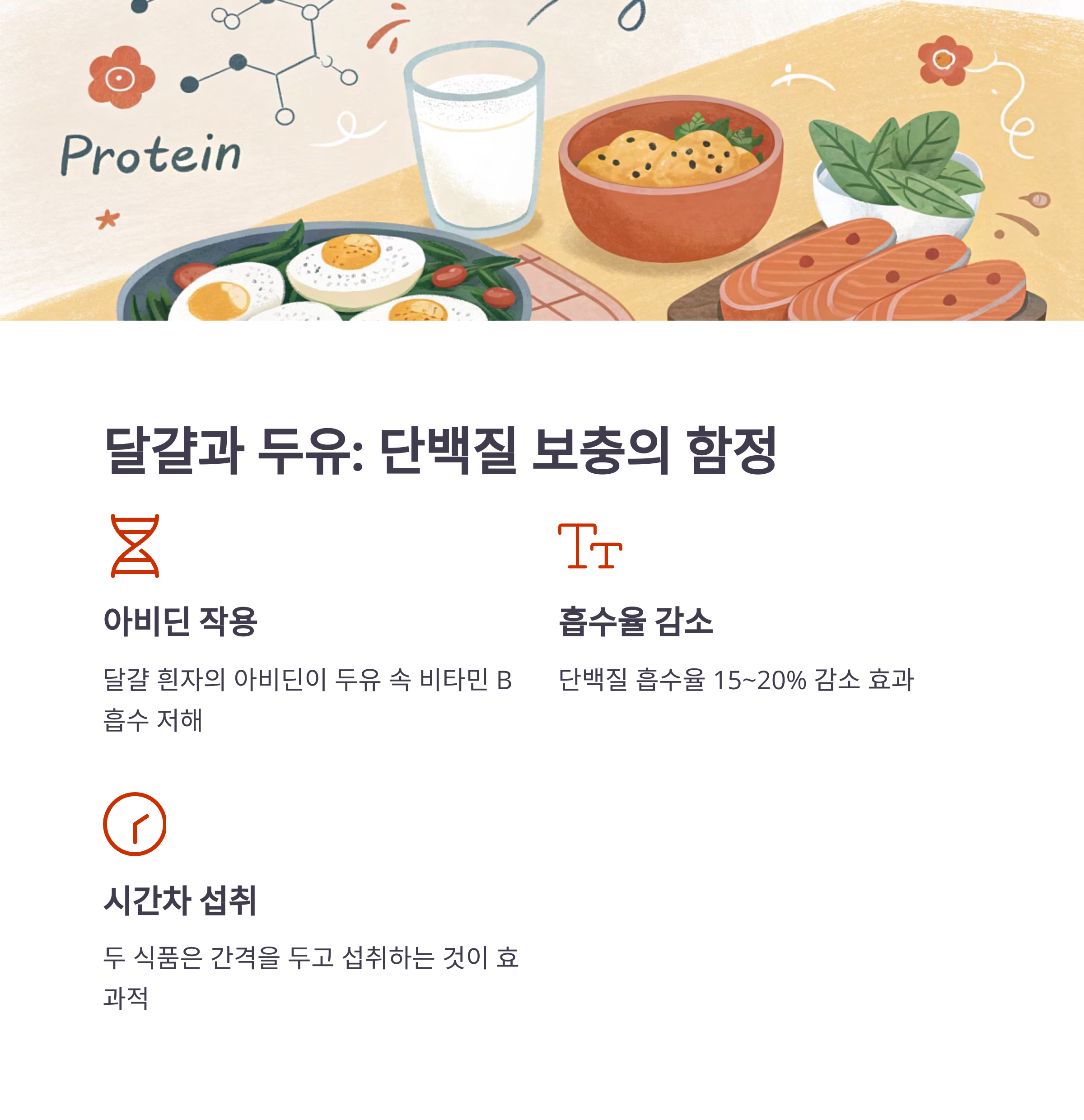 달걀과 두유 : 단백질 보충의 함정