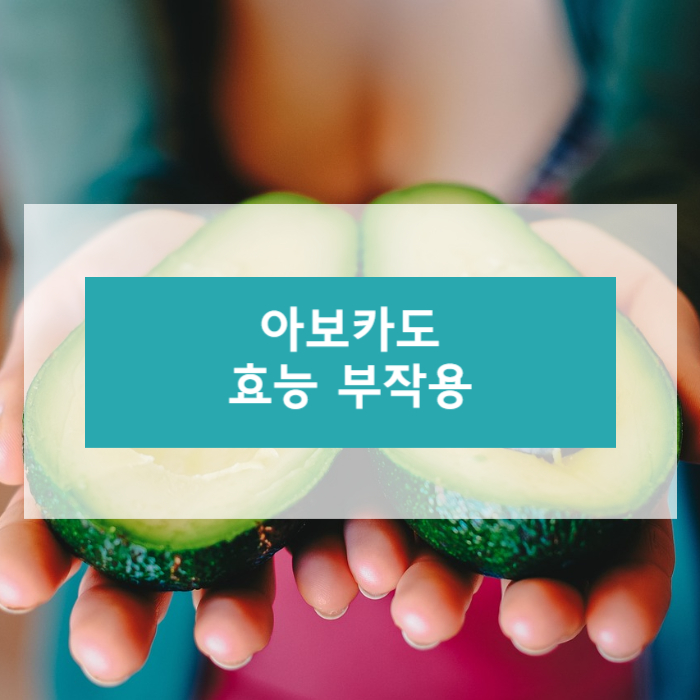 아보카도에 대하여