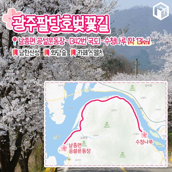 벚꽂 보러 갈래? 드라이브 코스 9(Do you want to go see cherry blossoms? South Korea's Beautiful Drive Course 9)