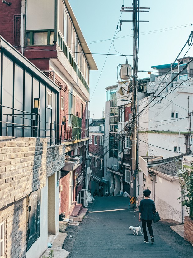 대낮 서울 주택가 난동, 대마초에 취한 30대의 충격적 행패