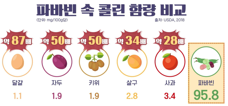 자이언트 파바빈