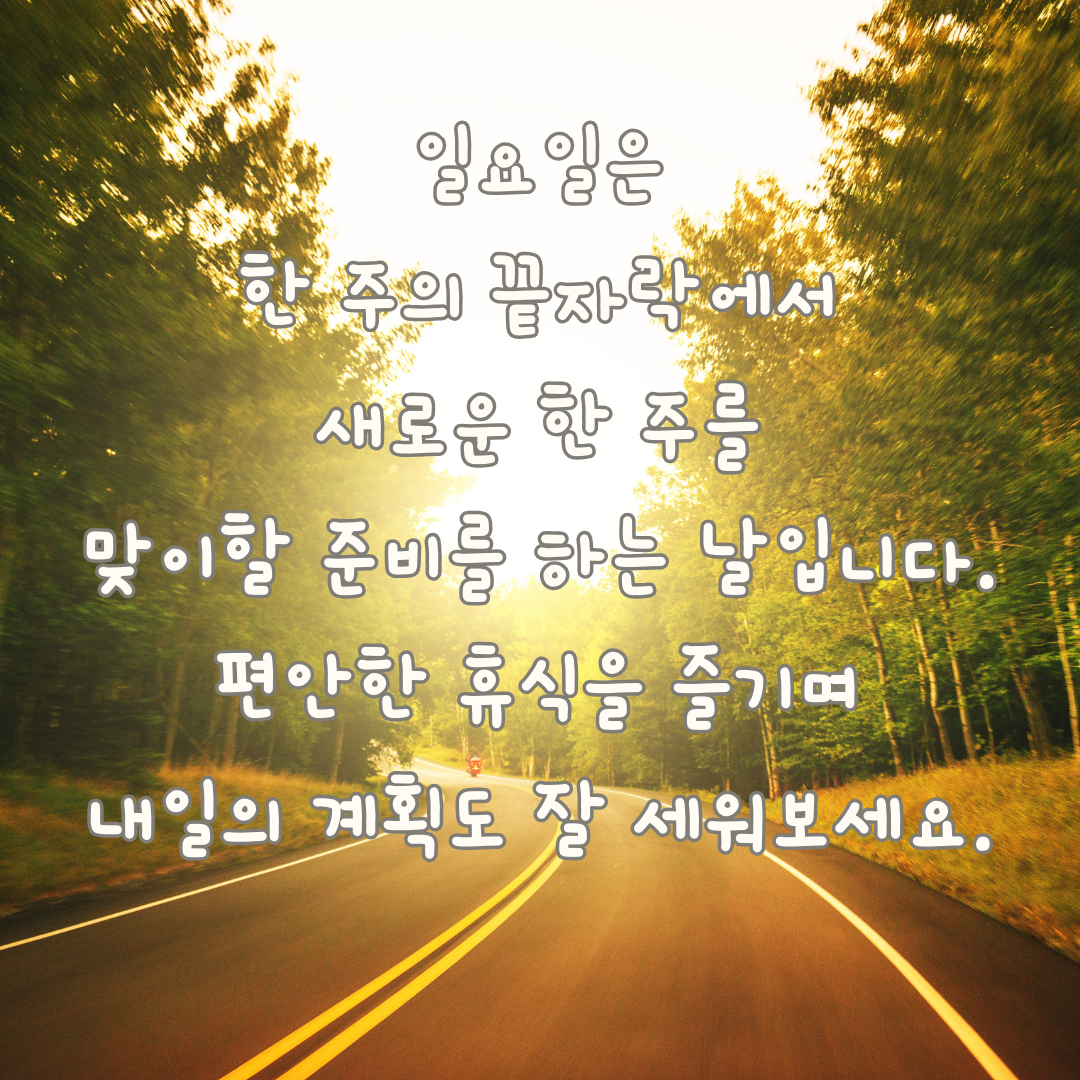 일요일 아침 인사말 이미지 문구 모음집