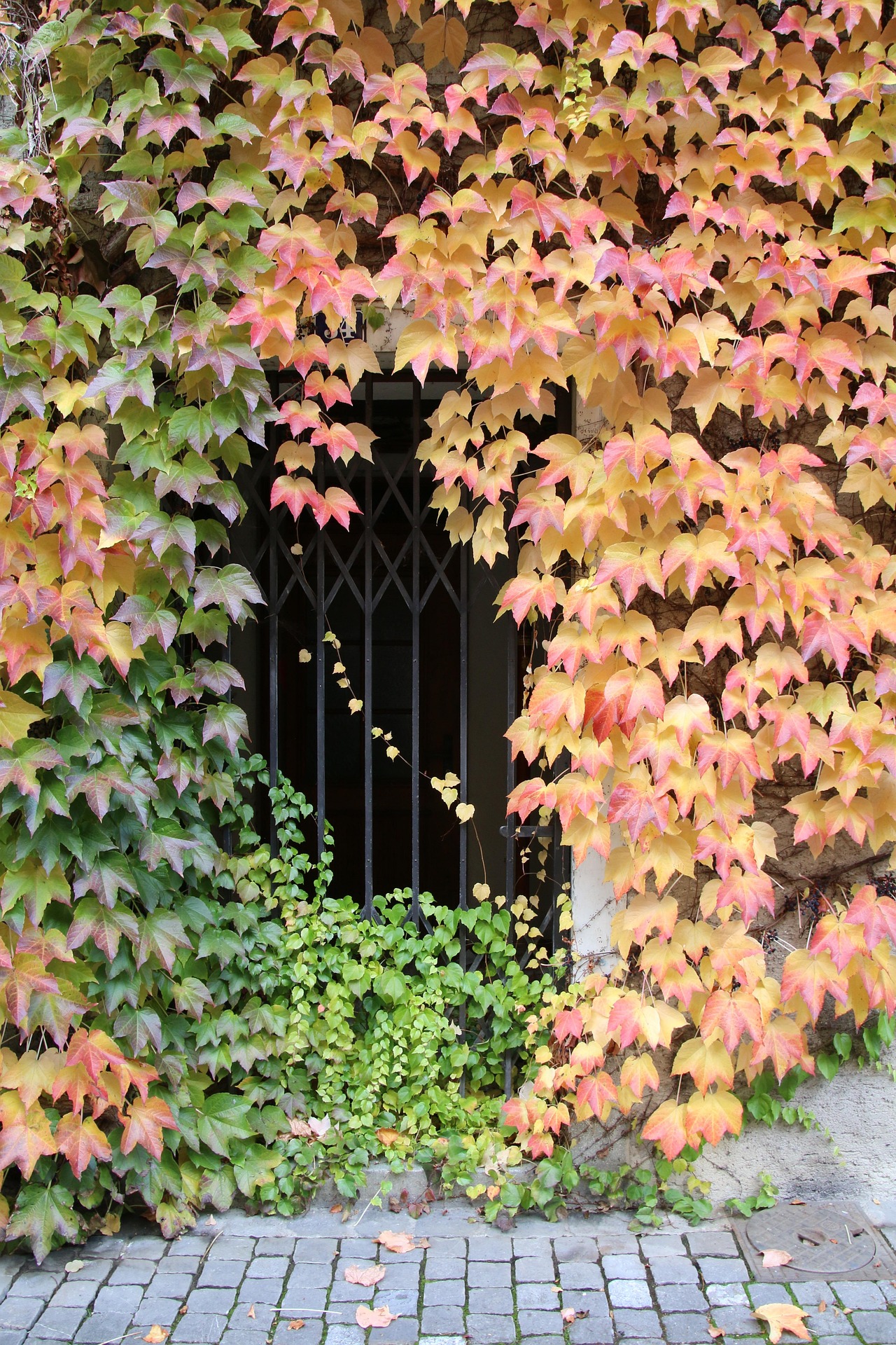 간수치 올라가는 이유 방치하면 놓치기 쉬운 간 건강 신호