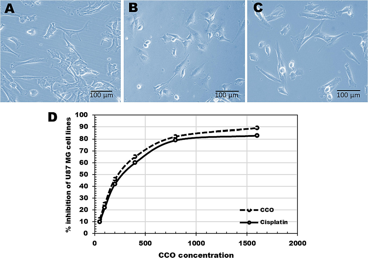 (A.C) U87 암세포에 대한 CCO 및 시스플라틴 세포독성 효과의 광학 현미경 이미지 . (D) 히스토그램은 T 세포주 활력의 % 억제를 보여줍니다