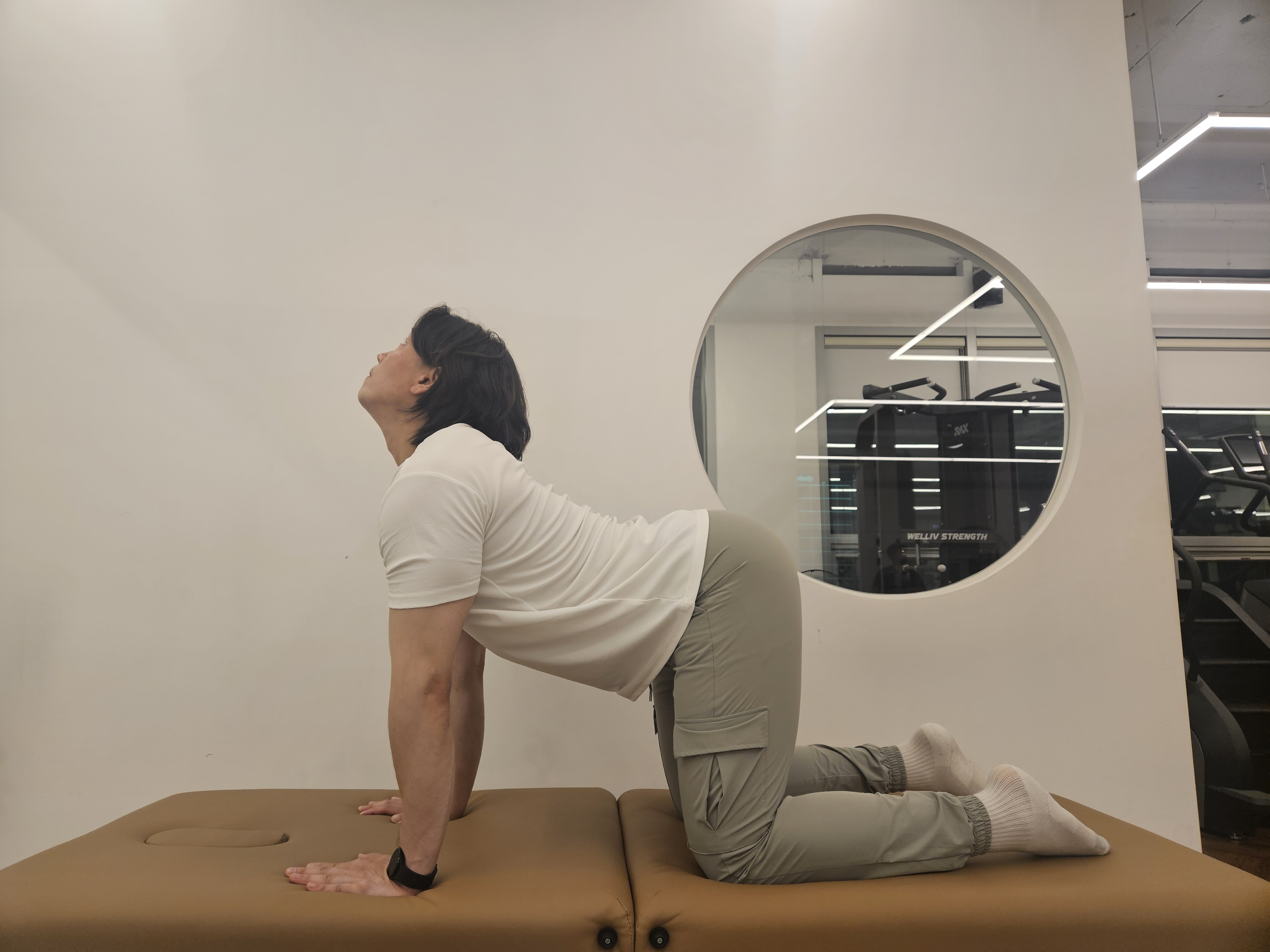 4발-자세에서-등을-바닥으로-내려주는-자세