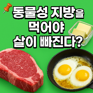 동물성 지방을 먹어야 살이 빠진다?