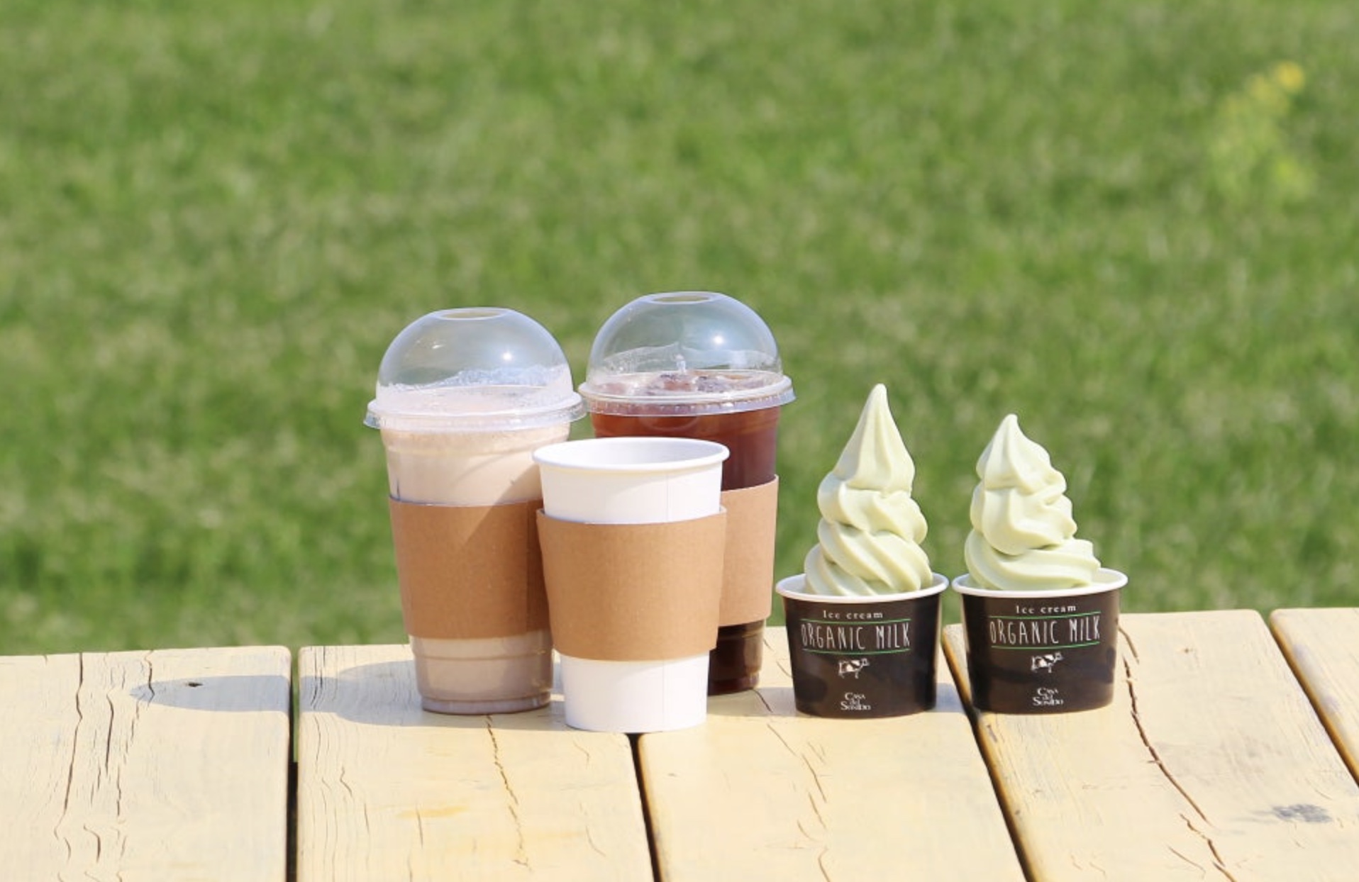 유채꽃과 청보리가 아름다운 가파도 여행