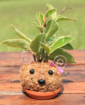 식물 가습기 '양 토피어리'