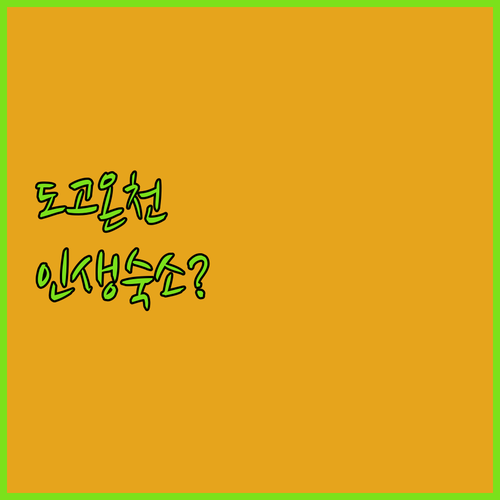 마쓰야마 호텔 예약 가이드 도고 온천..