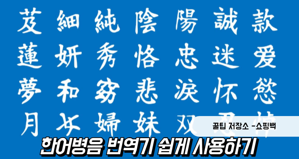 한어병음 번역기 사용법