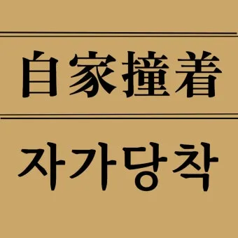자가당착 뜻 유래 의미 사용법_13