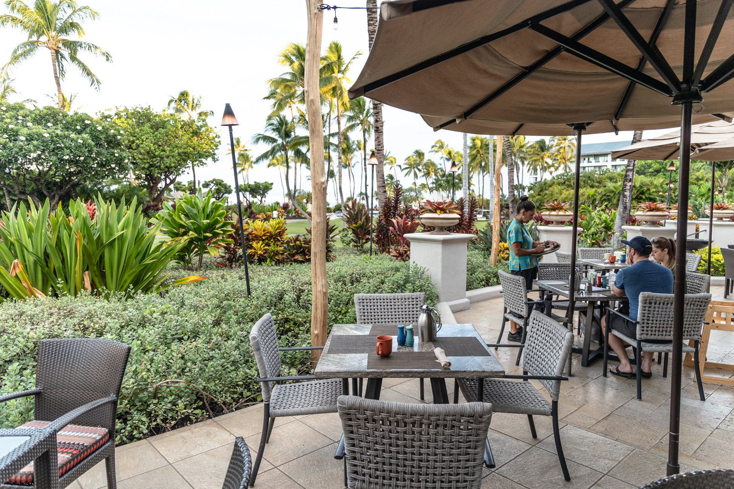 빅아일랜드 페어몬트오키드