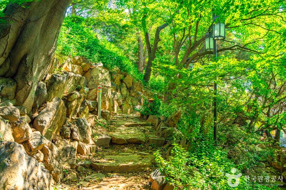 정원에 계단이 있다.