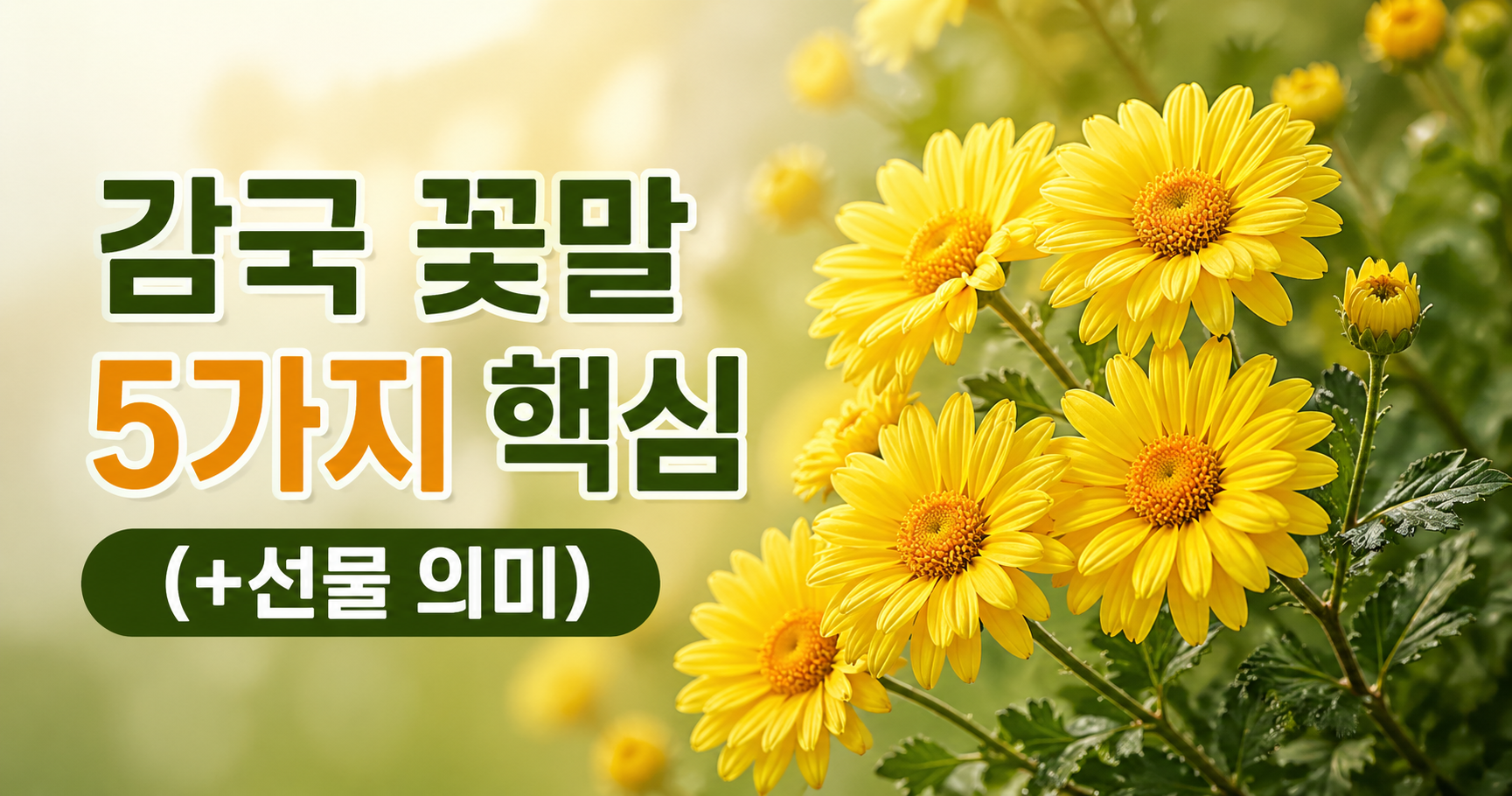 감국 꽃말