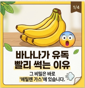 바나나 보관법