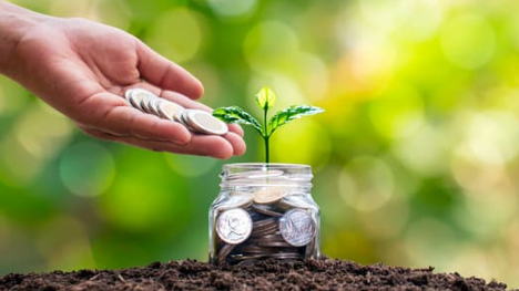 파이코인 전망 몰랐다면 손해! 채굴 방법과 투자 전략