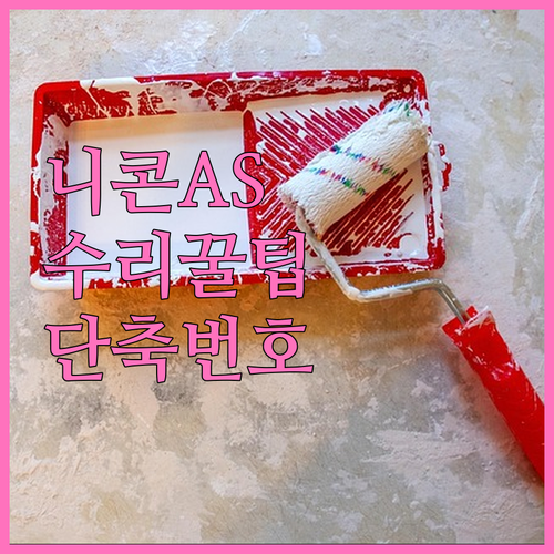 니콘 카메라 AS 수리 접수 방법 및..