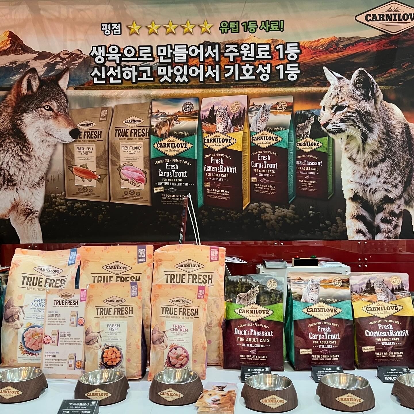 케이펫페어
