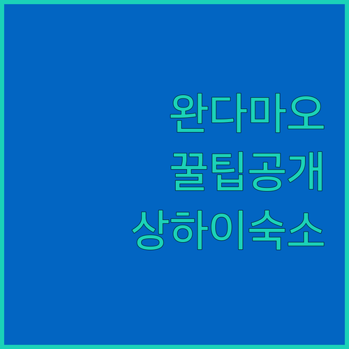 난징 완다마오 실내테마파크 이용 꿀팁..