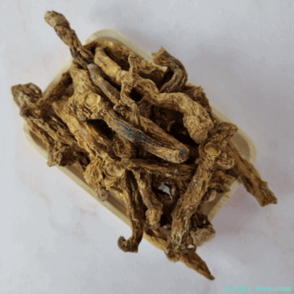 황정의 다양한 활용법