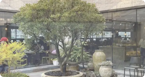 샤브올데이 할인