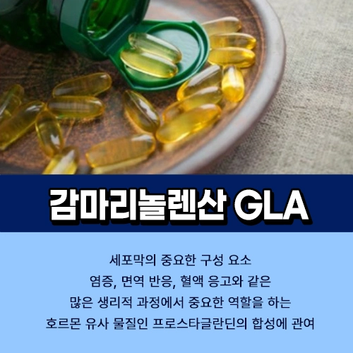 감마리놀렌산