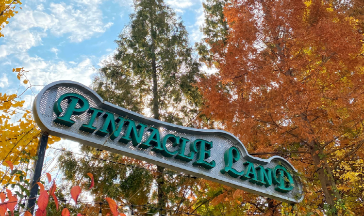 피나클랜드 수목원