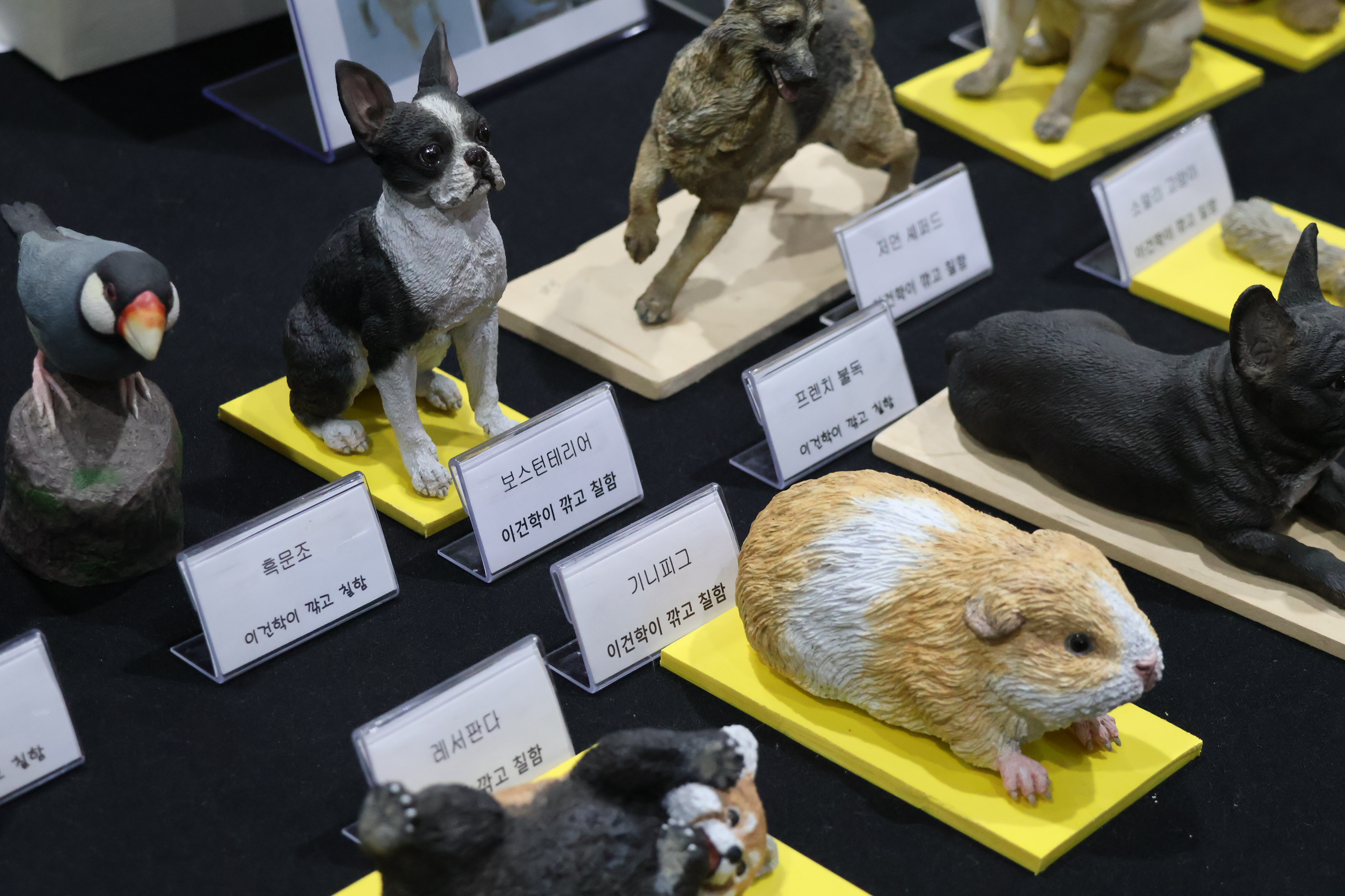 하비페어 박람회